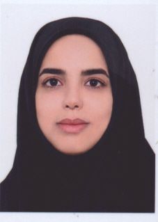 <br>سحر قلعه نویی<br>